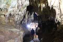 IMG_7447