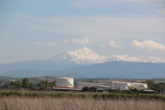 IMG_7479