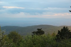 IMG_7578