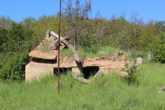 IMG_7661