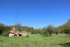 IMG_7662