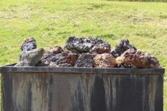 IMG_7756