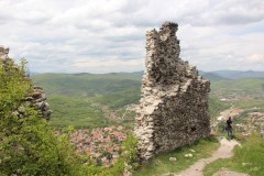 IMG_7771