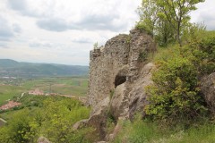 IMG_7784