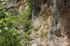 IMG_7934