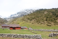 IMG_8002