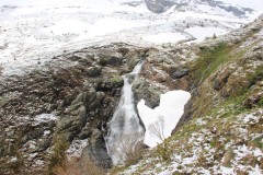 IMG_8008