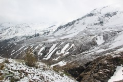 IMG_8010