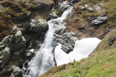 IMG_8016