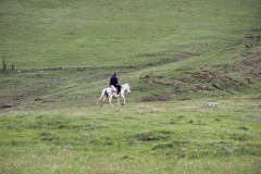 IMG_8389