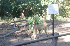 034-Lilongwe-nature-sanctuary