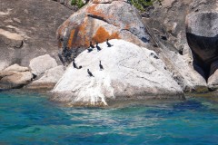 094-Otter-point