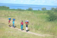 120-NP-Liwonde