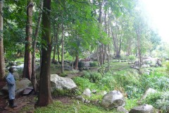 289-Zomba-botanická-zahrada