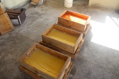 IMG_1172