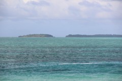 IMG_1184