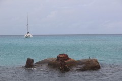 IMG_1224