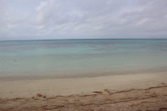 IMG_1239
