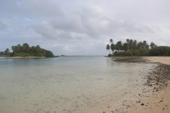 IMG_1245