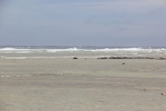 IMG_1309