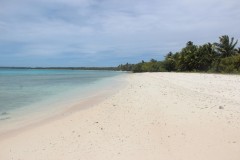 IMG_1311
