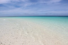 IMG_1314