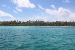 IMG_1355
