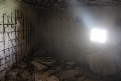 IMG_1381