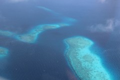IMG_1420