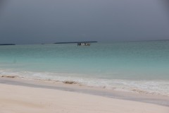 IMG_1438