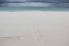 IMG_1462