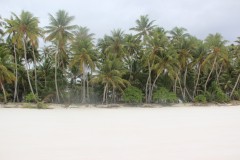 IMG_1465