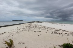 IMG_1466