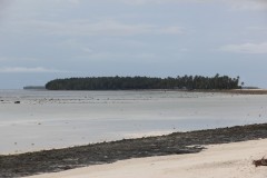 IMG_1467