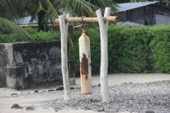 IMG_1475