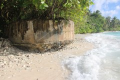 IMG_1499