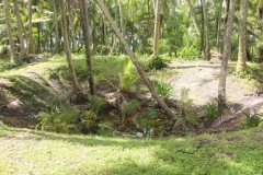 IMG_1511