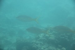 IMG_1604