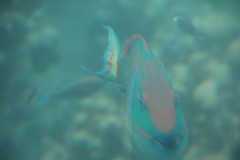 IMG_1605