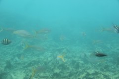 IMG_1615
