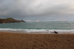 IMG_1755