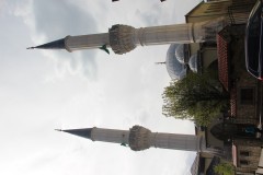 IMG_8424