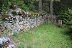 IMG_8426