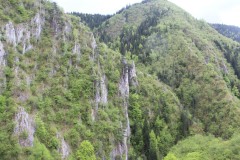 IMG_8429