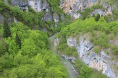IMG_8431