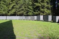 IMG_8441