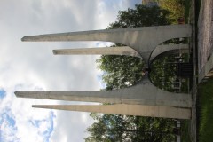 IMG_8455