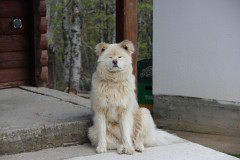 IMG_8459