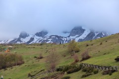 IMG_8466