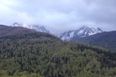 IMG_8469